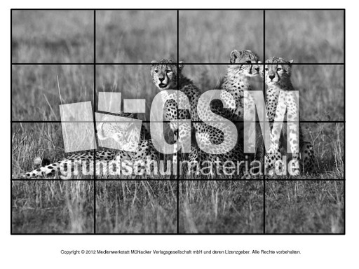 Puzzle-Gepard-2.pdf